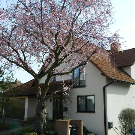 Zornheim Ferienwohnung Kiko מראה חיצוני תמונה
