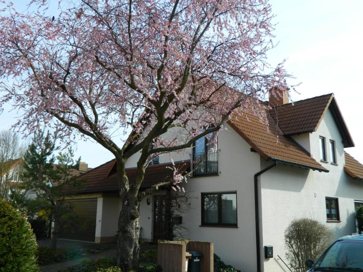 Zornheim Ferienwohnung Kiko מראה חיצוני תמונה